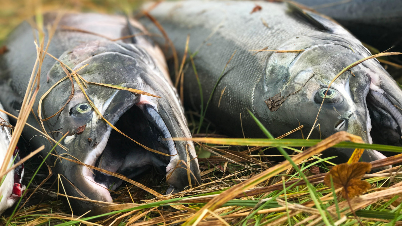 Keep The Good Stuff Yours