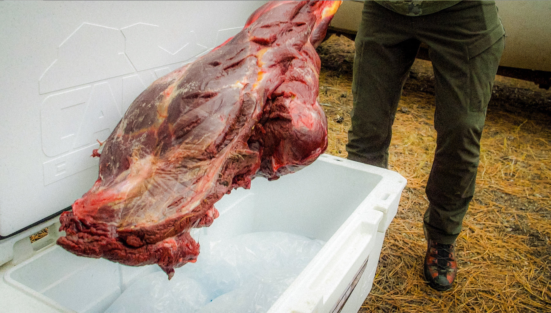 Cleaning Your Cooler After A Hunt