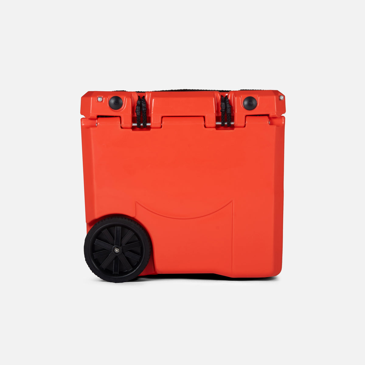 Mule 30 Quart Cooler