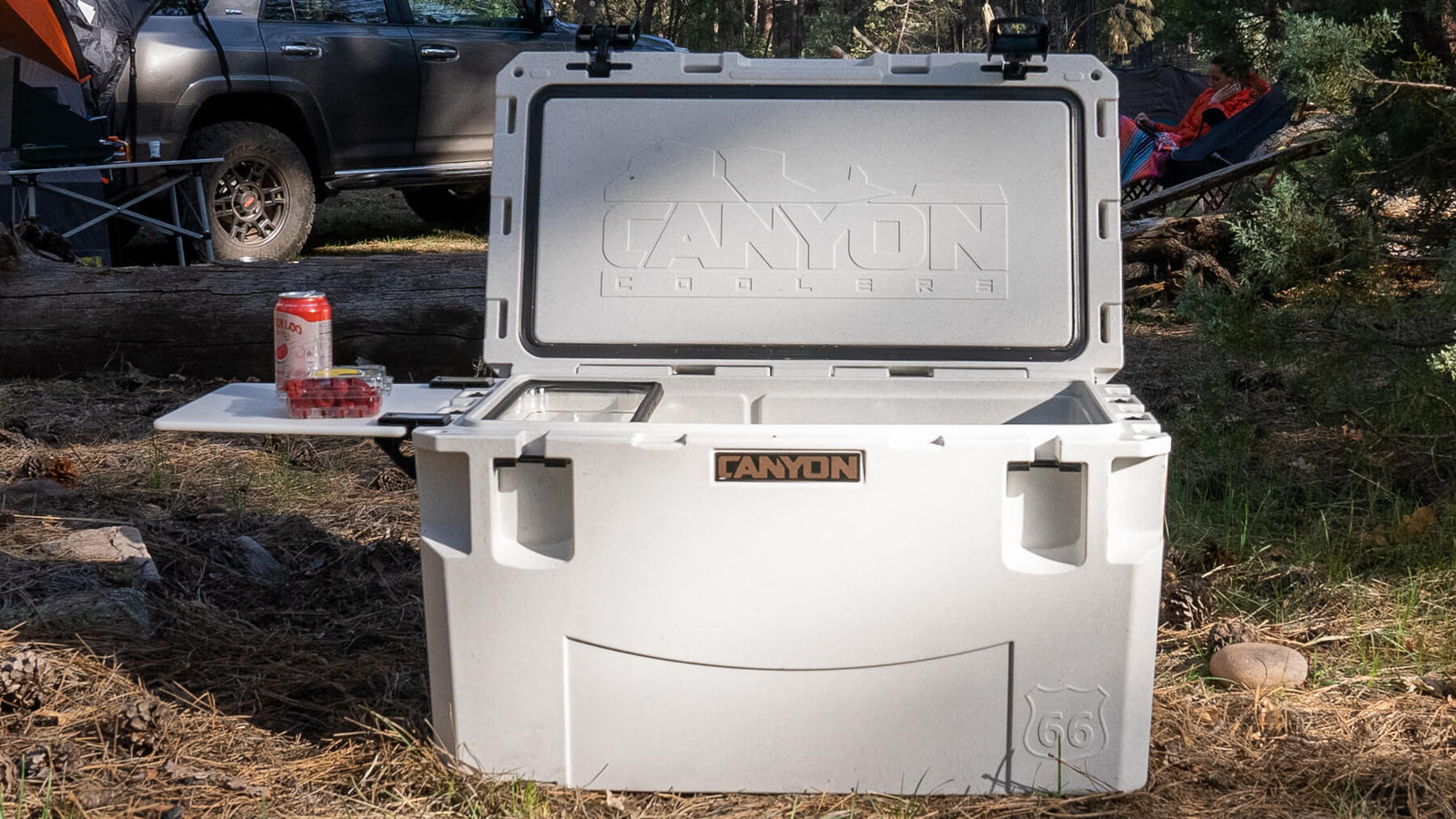 PRO65 Cooler