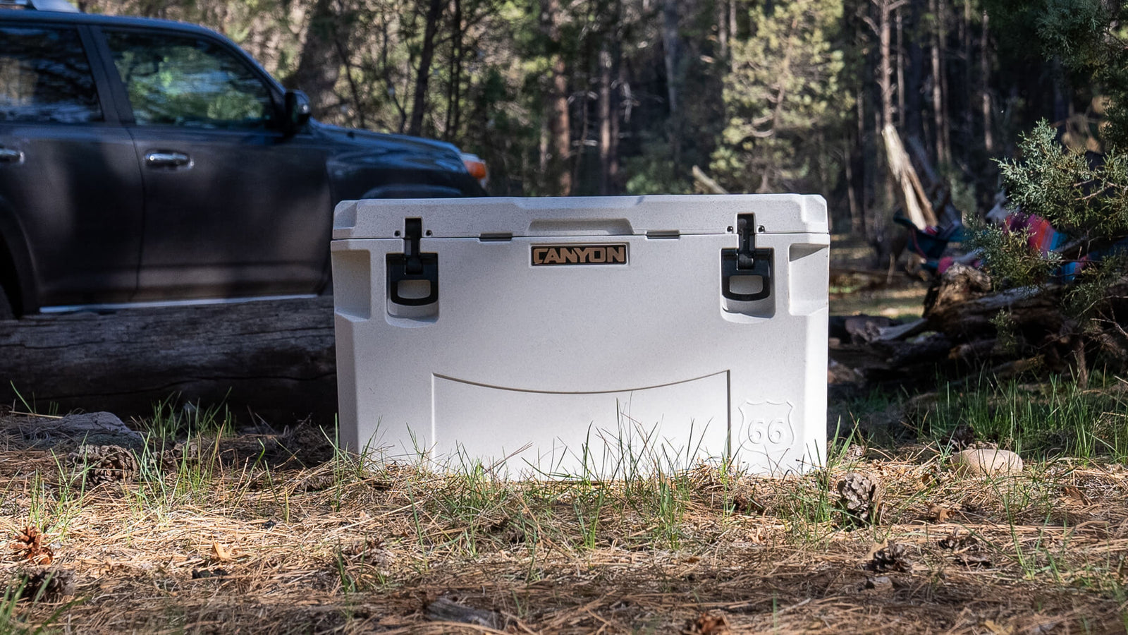 PRO65 Cooler